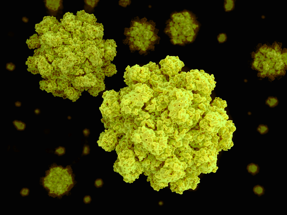 Researchers Examine Genesis Of Norovirus Infection Homeland 