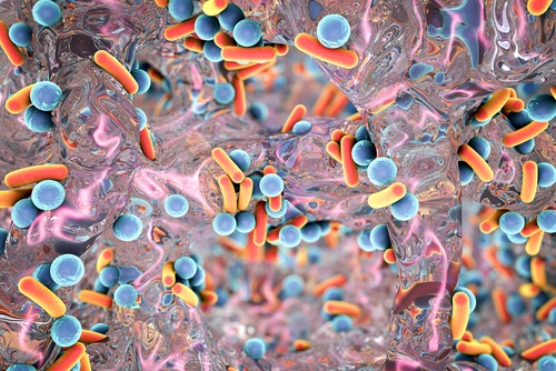 Photo of L’étude examine la facilité avec laquelle la résistance aux antibiotiques se propage